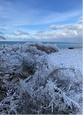 The ground on the coast of Gotland covered in snow and spiky ice formations. 