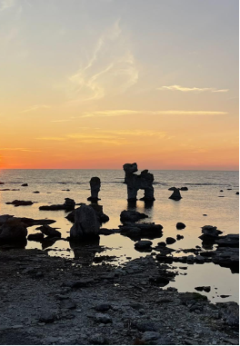 A group of rauks in the shallow sea in the sunset.